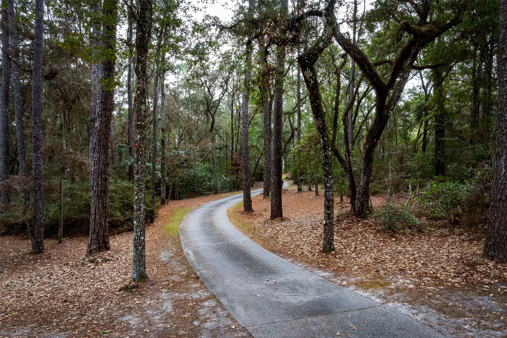 28175 Hammock Road Hilliard, FL 32046 - Photo 2 of 32