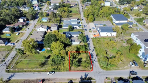a view of a garden with plants
