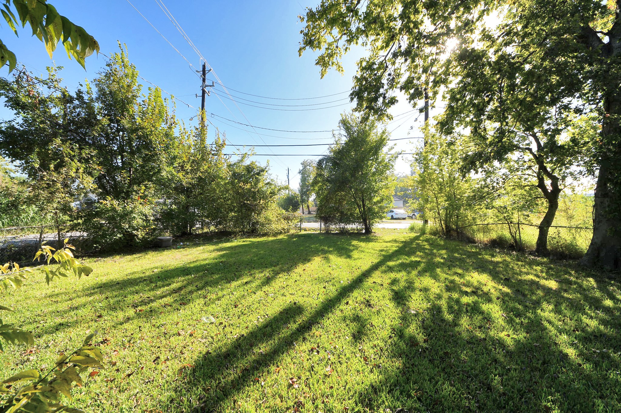 3340 Sampson Street Houston, TX 77004 - Photo 5 of 14 a view of yard with green space