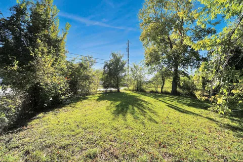 a view of a field with a tree