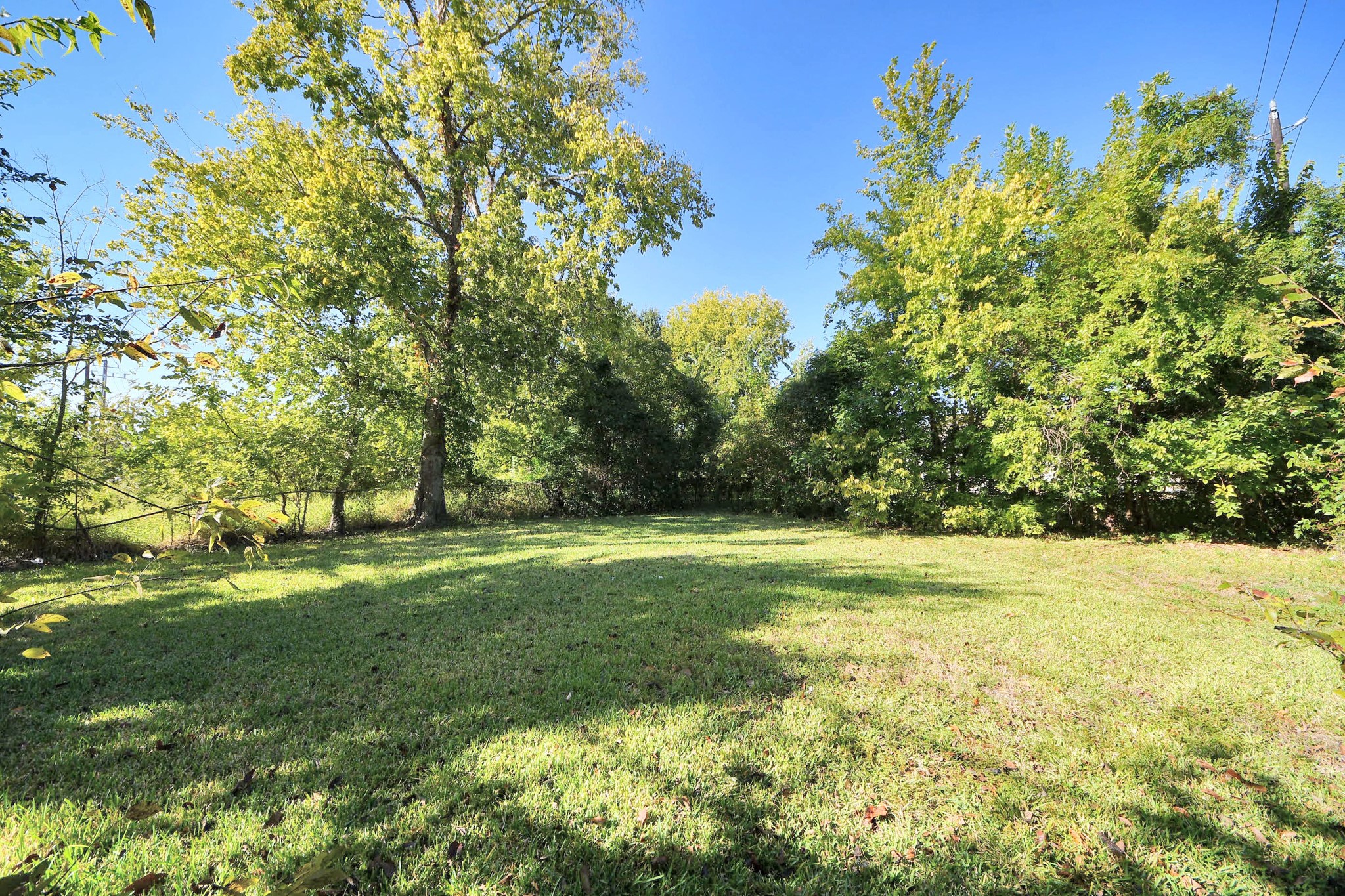 3340 Sampson Street Houston, TX 77004 - Photo 7 of 14 a view of a field with a tree