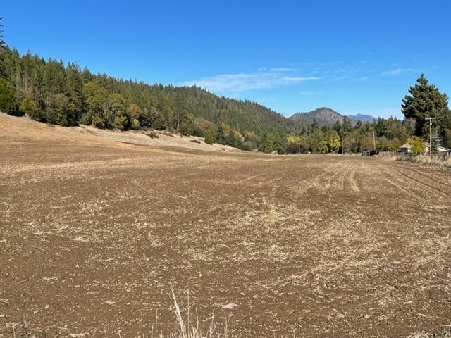 7840 Thompson Creek Road Williams, OR 97544 - Photo 17 of 18 Gallery Image 17