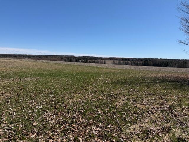 871 Madawaska Road Caribou, ME 04736 - Photo 29 of 52 871 Madawaska Rd May 2026 (5)