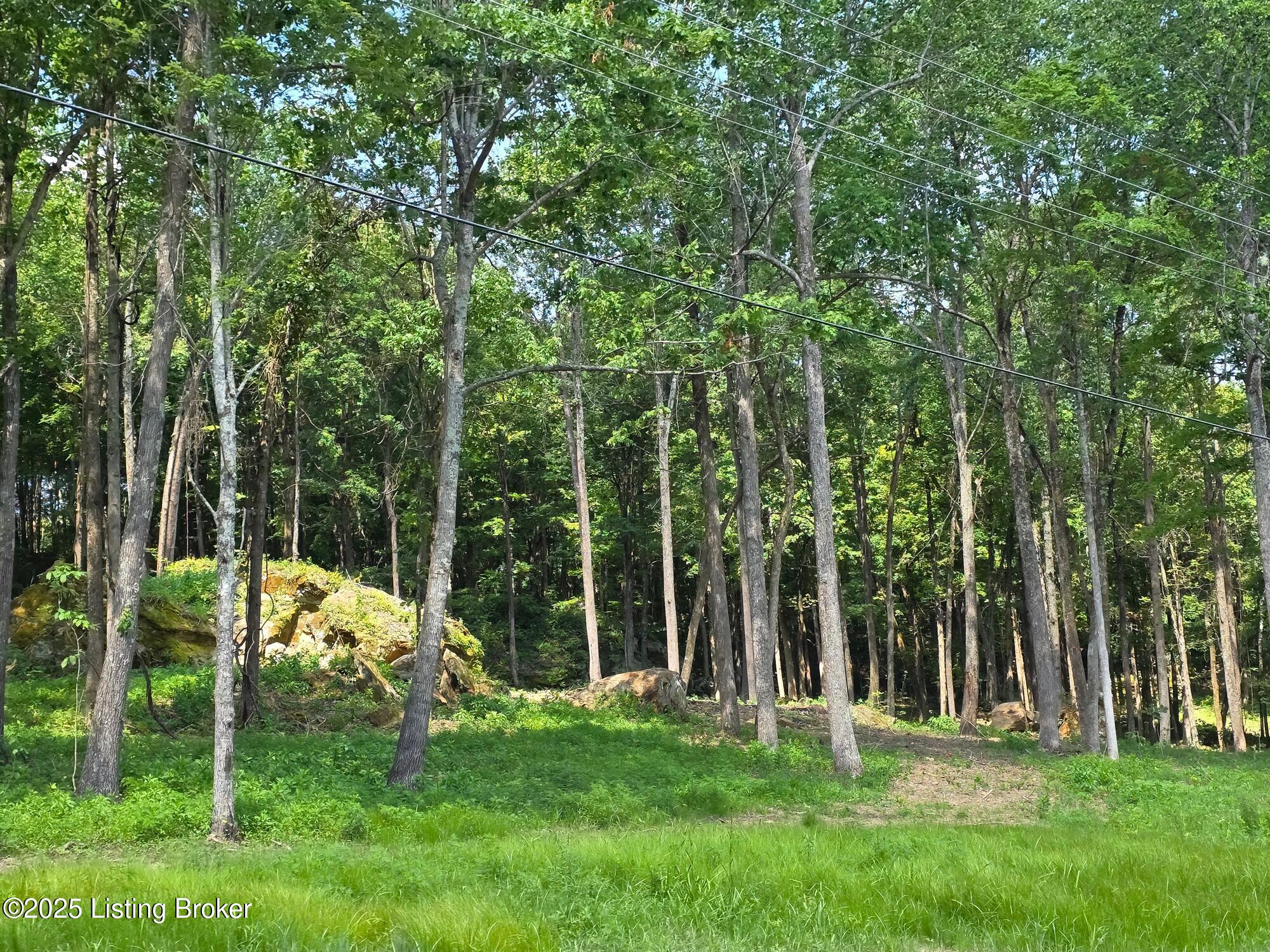 0 Cave Creek Road Falls Of Rough, KY 40119 - Photo 15 of 70 Entire Parcel (12)