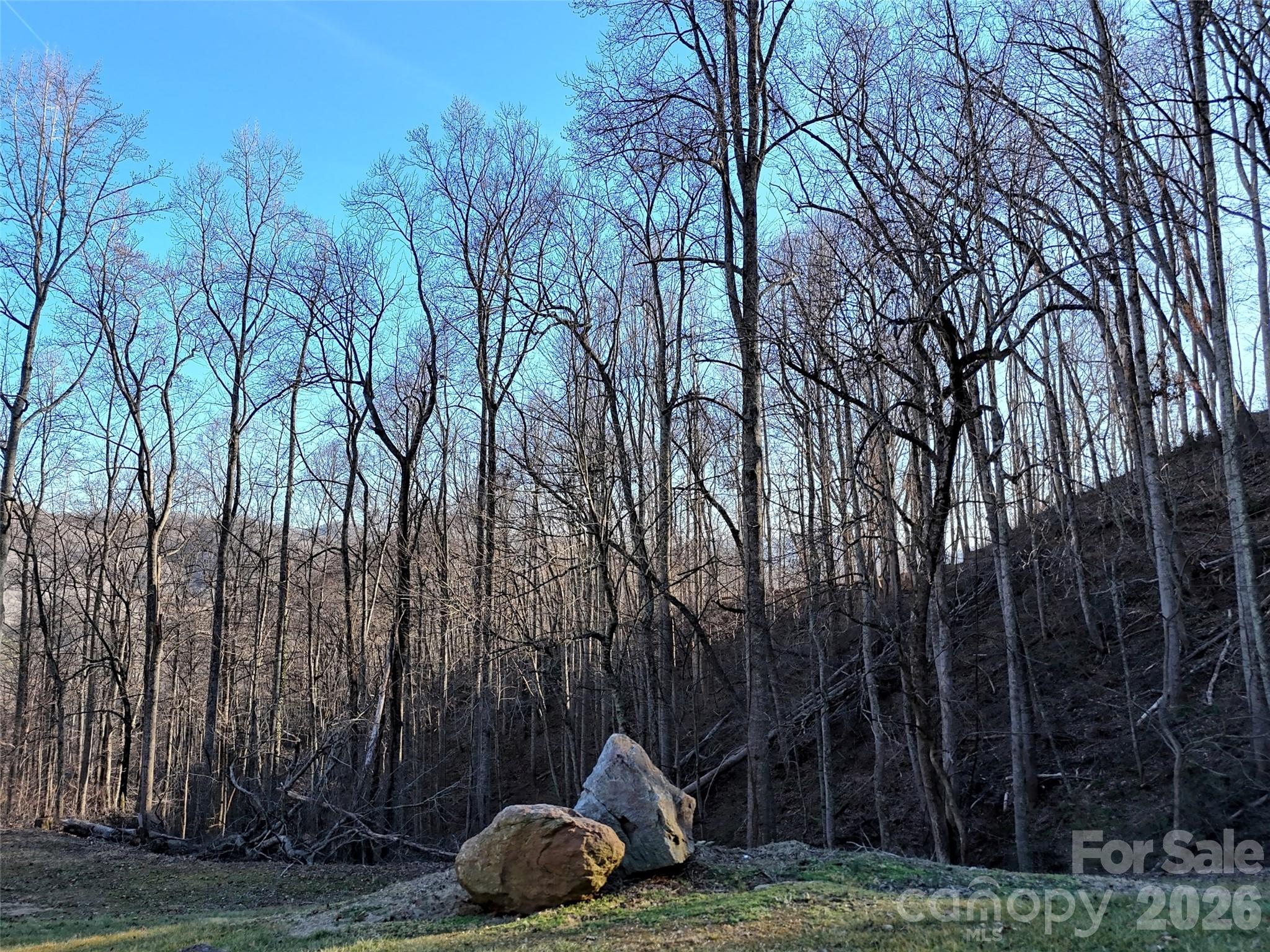 672 Porters Ridge Canton, NC 28716 - Photo 6 of 18