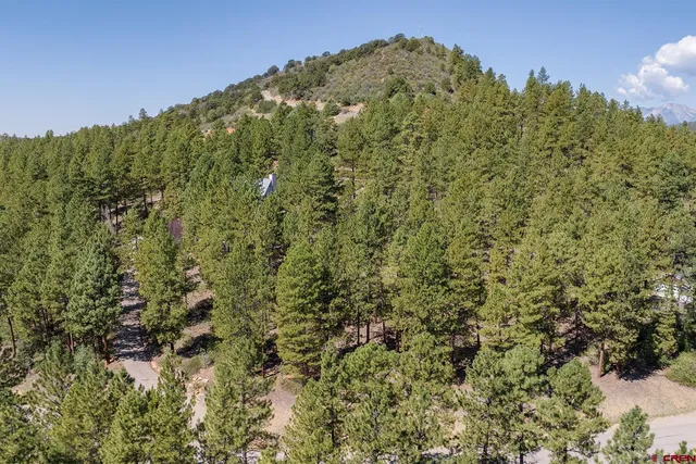 a view of a large yard with lots of bushes