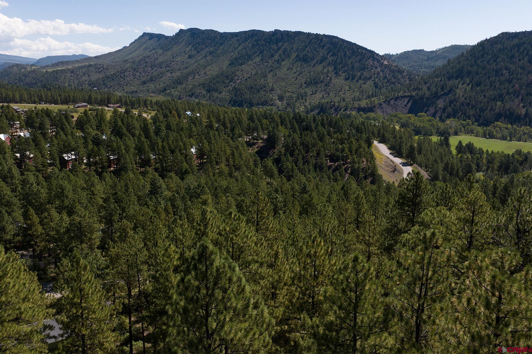 398 The Iron King Road Durango, CO 81301 - Photo 12 of 16 a view of a house with a mountain and a forest