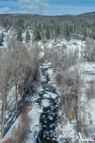 a view of a dry yard
