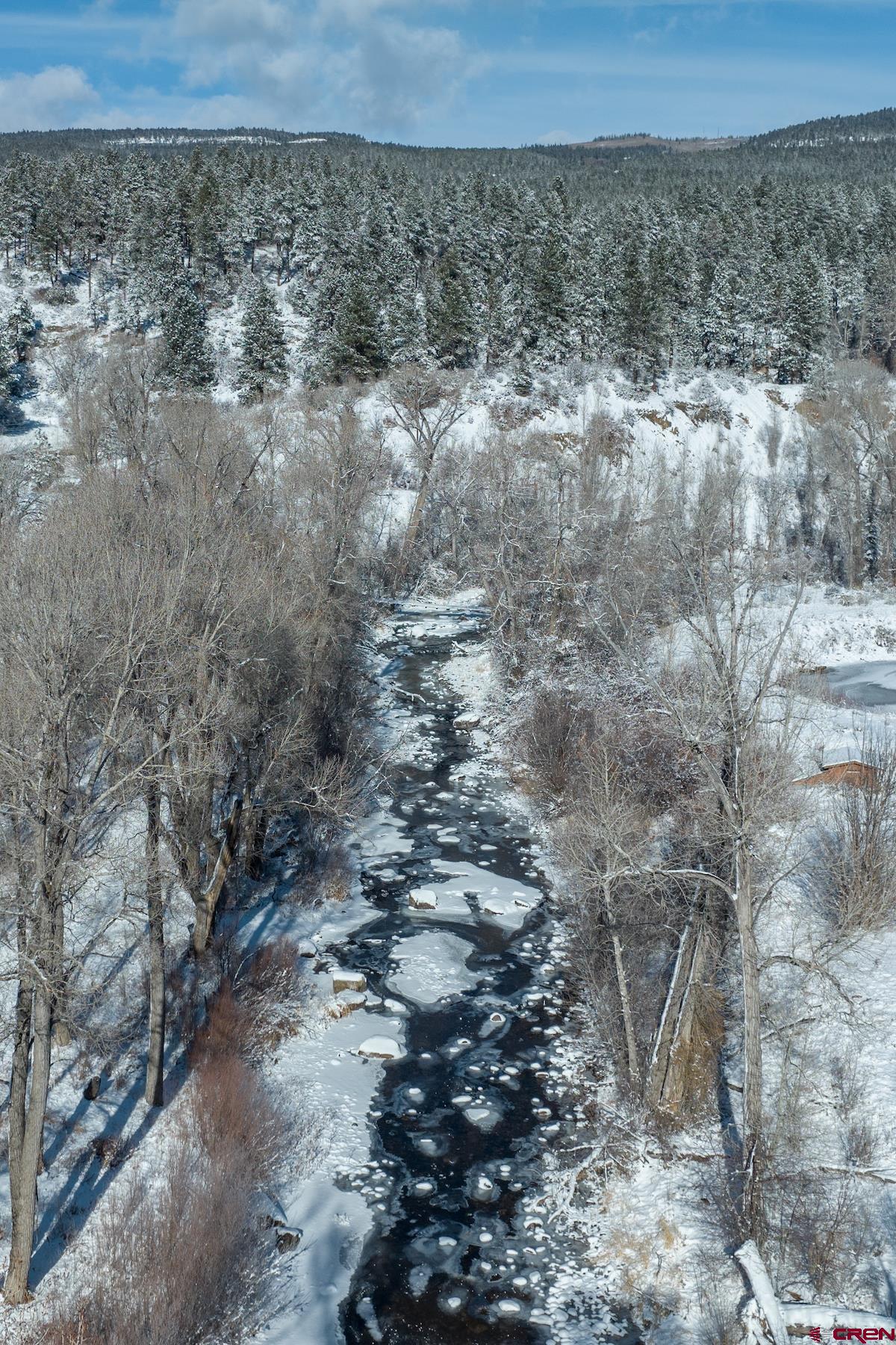 398 The Iron King Road Durango, CO 81301 - Photo 15 of 16 a view of a dry yard