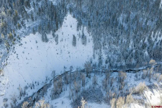 a view of a dry yard