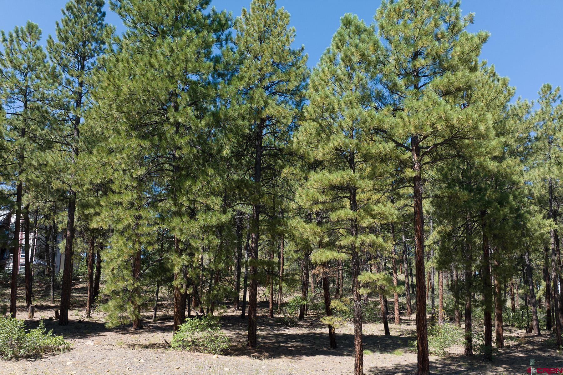 398 The Iron King Road Durango, CO 81301 - Photo 3 of 16 a view of a yard with plants and trees