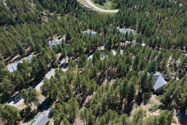 a view of a house with a lush green forest