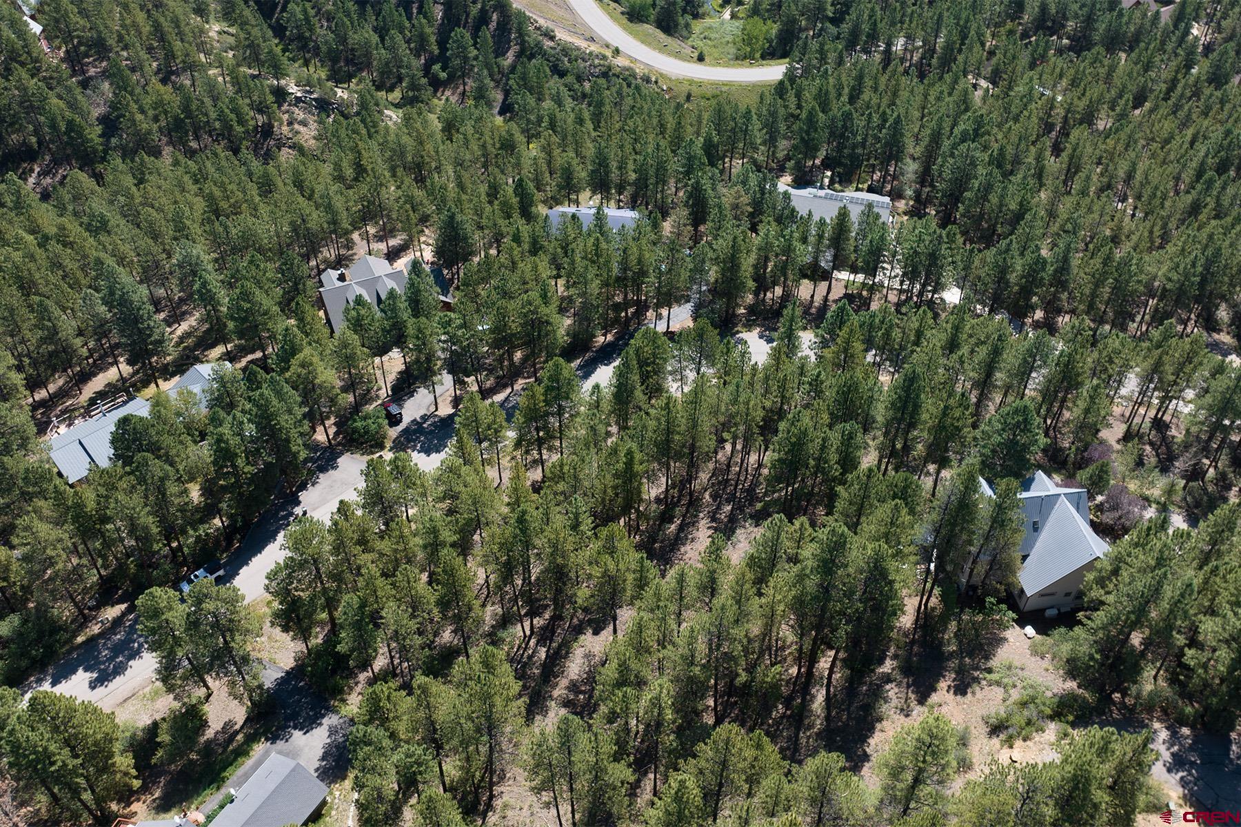 398 The Iron King Road Durango, CO 81301 - Photo 7 of 16 a view of a house with a lush green forest