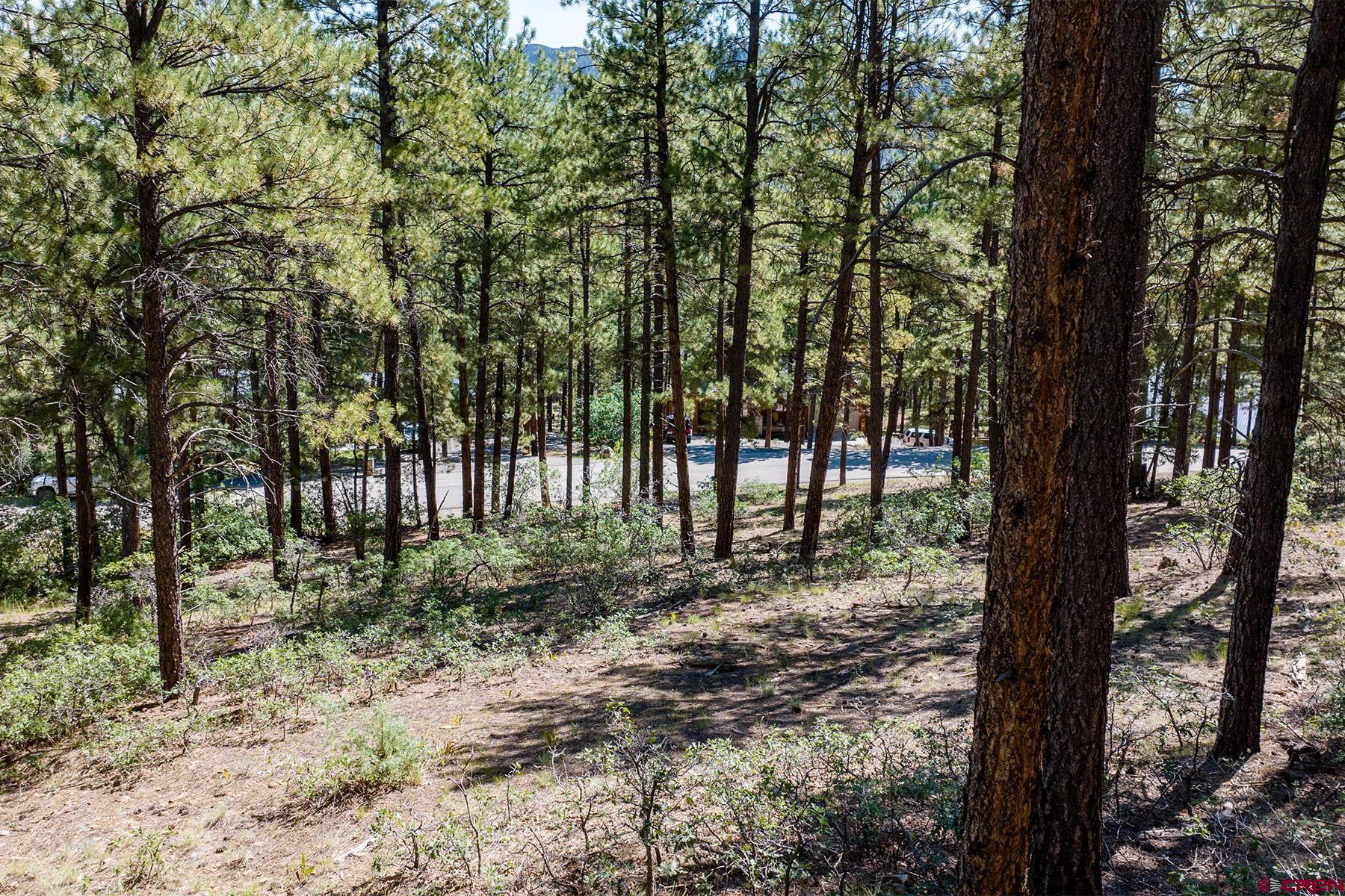 398 The Iron King Road Durango, CO 81301 - Photo 8 of 16 a view of a forest with trees in the background