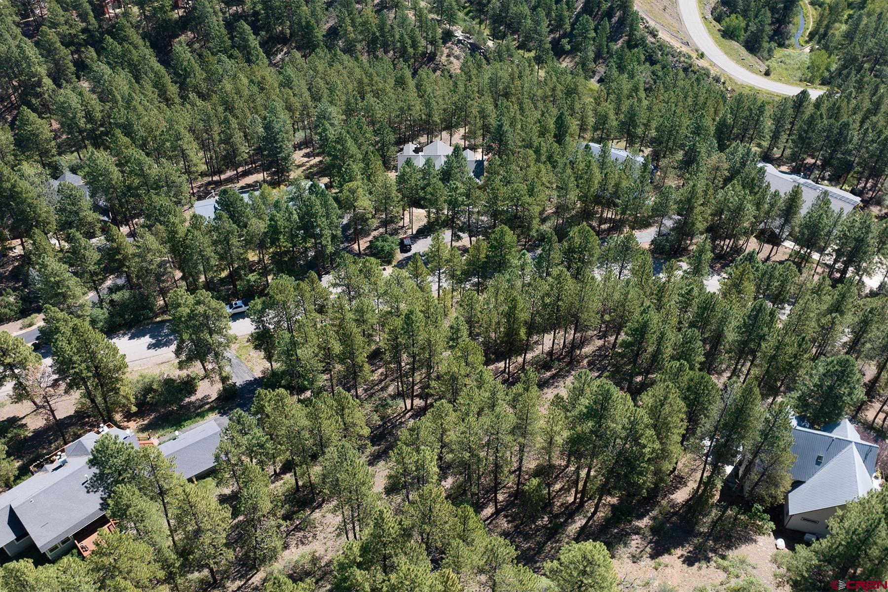 398 The Iron King Road Durango, CO 81301 - Photo 9 of 16 an aerial view of residential house with outdoor space and trees