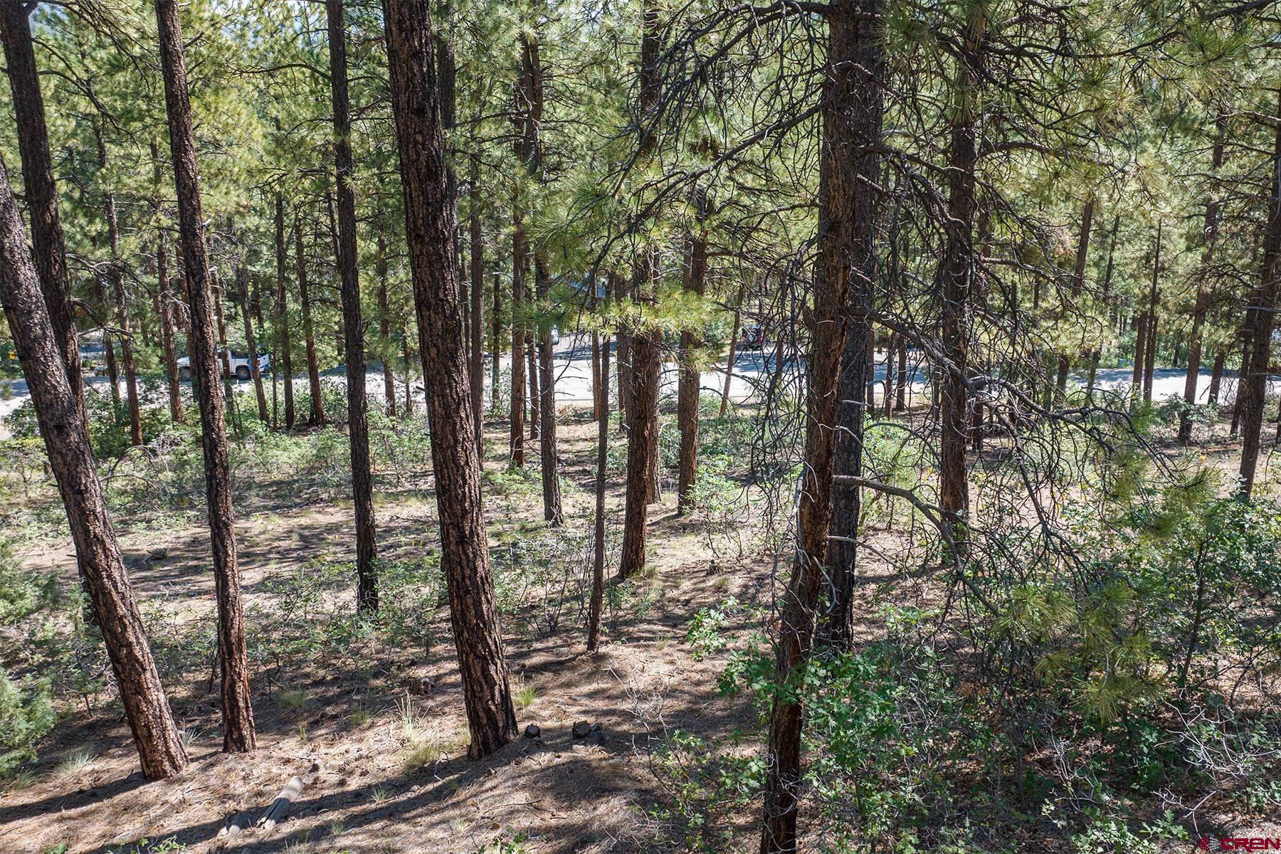398 The Iron King Road Durango, CO 81301 - Photo 10 of 16 a view of outdoor space and garden