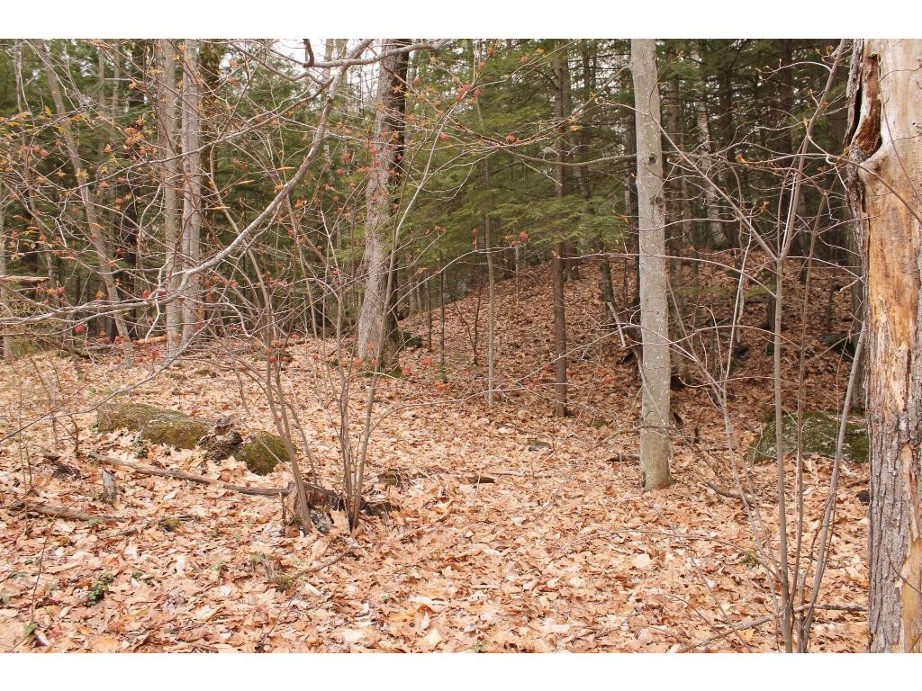 221 Black Brook Road Meredith, NH 03253 - Photo 2 of 17 Gallery Image 2