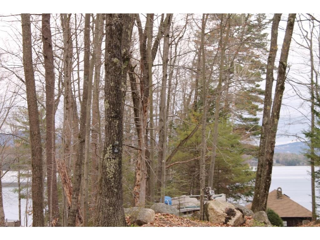 221 Black Brook Road Meredith, NH 03253 - Photo 4 of 17 Gallery Image 4