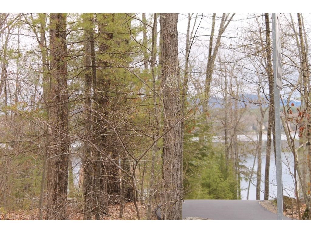 221 Black Brook Road Meredith, NH 03253 - Photo 10 of 17 Gallery Image 10