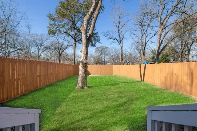 a view of backyard with tree
