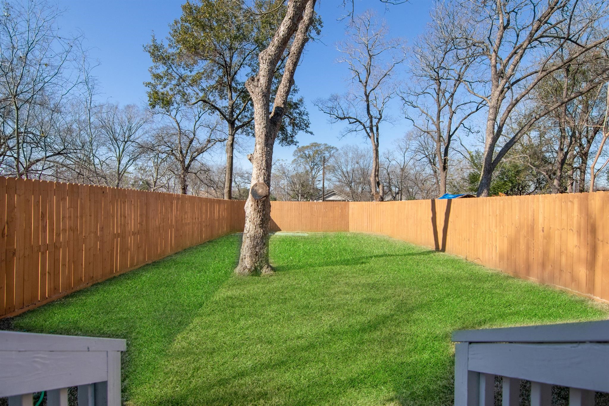 1709 Stevens Street Houston, TX 77026 - Photo 14 of 17 a view of backyard with tree