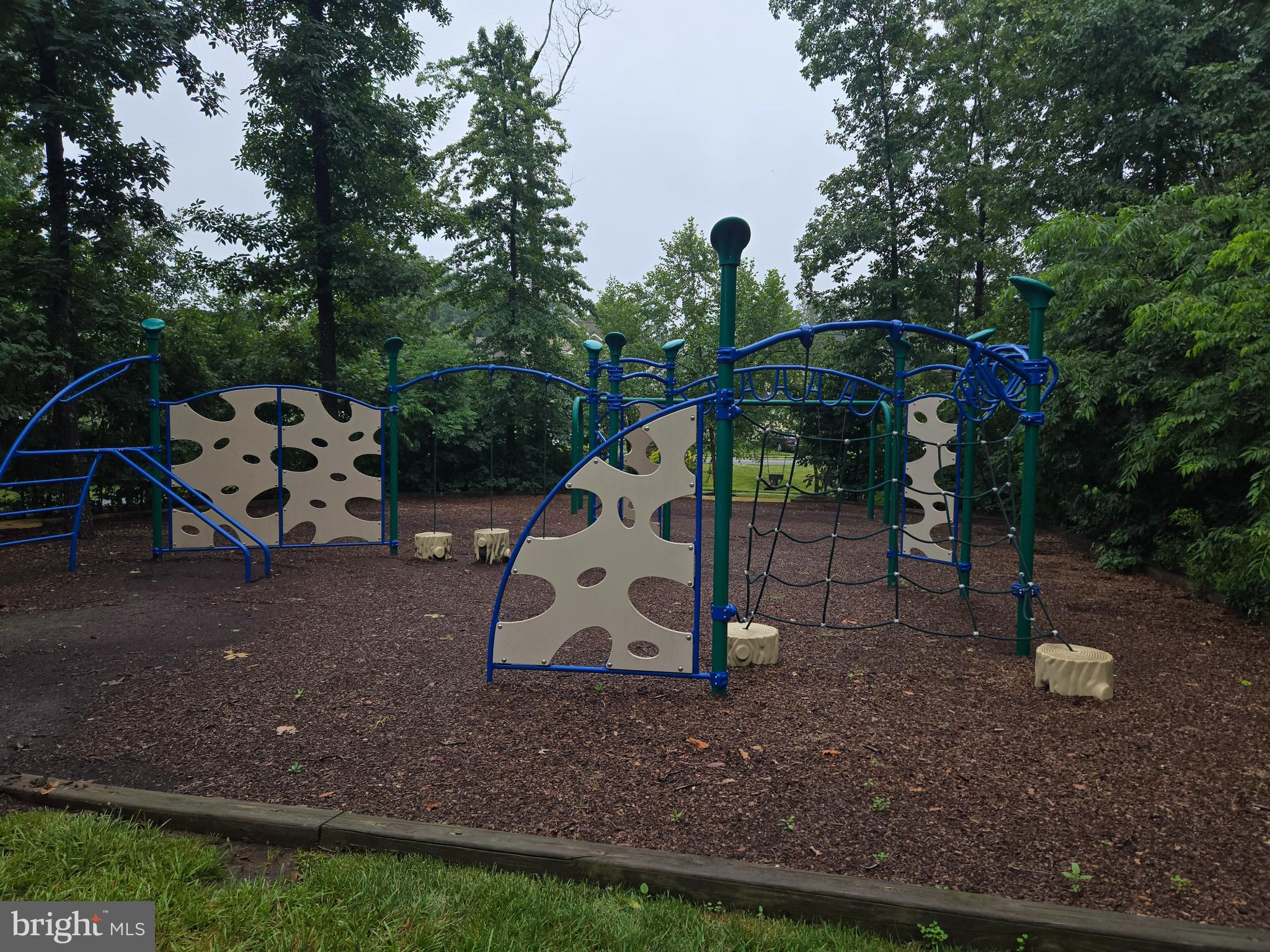 12141 Aster Road Bristow, VA 20136 - Photo 60 of 65 a view of a park with slide