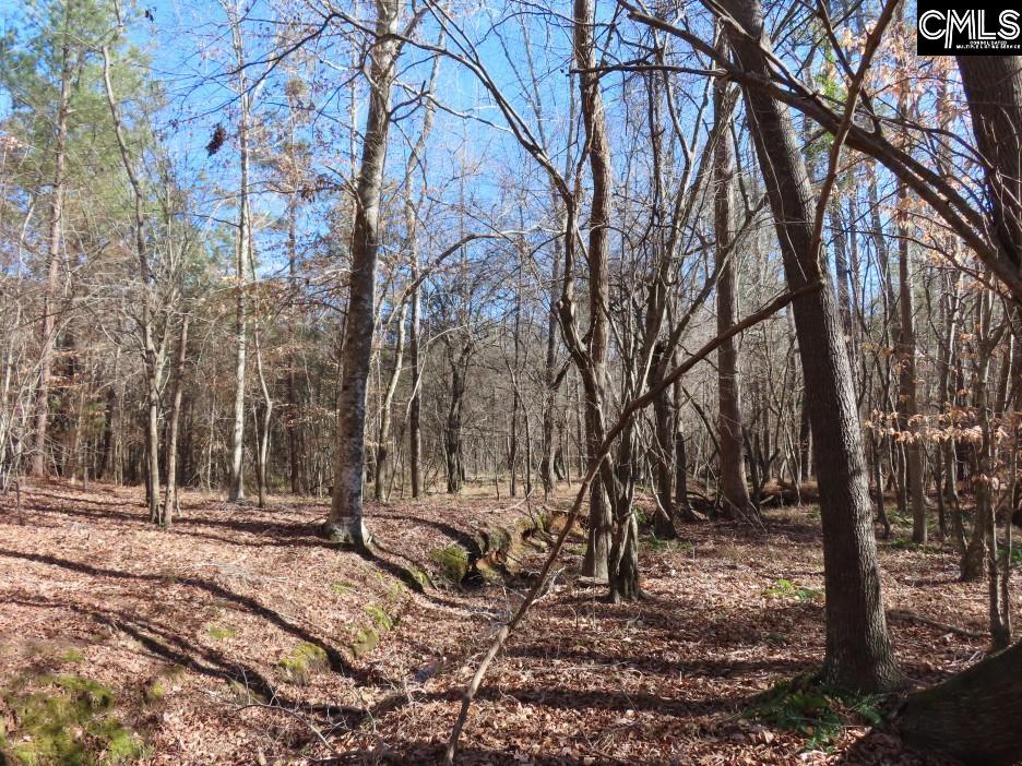 637 Cook Road Ridgeway, SC 29130 - Photo 42 of 51