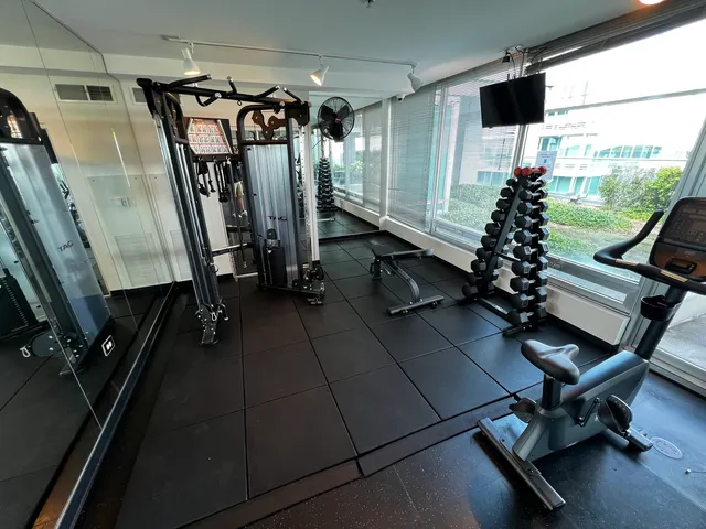 a view of a park with large trees