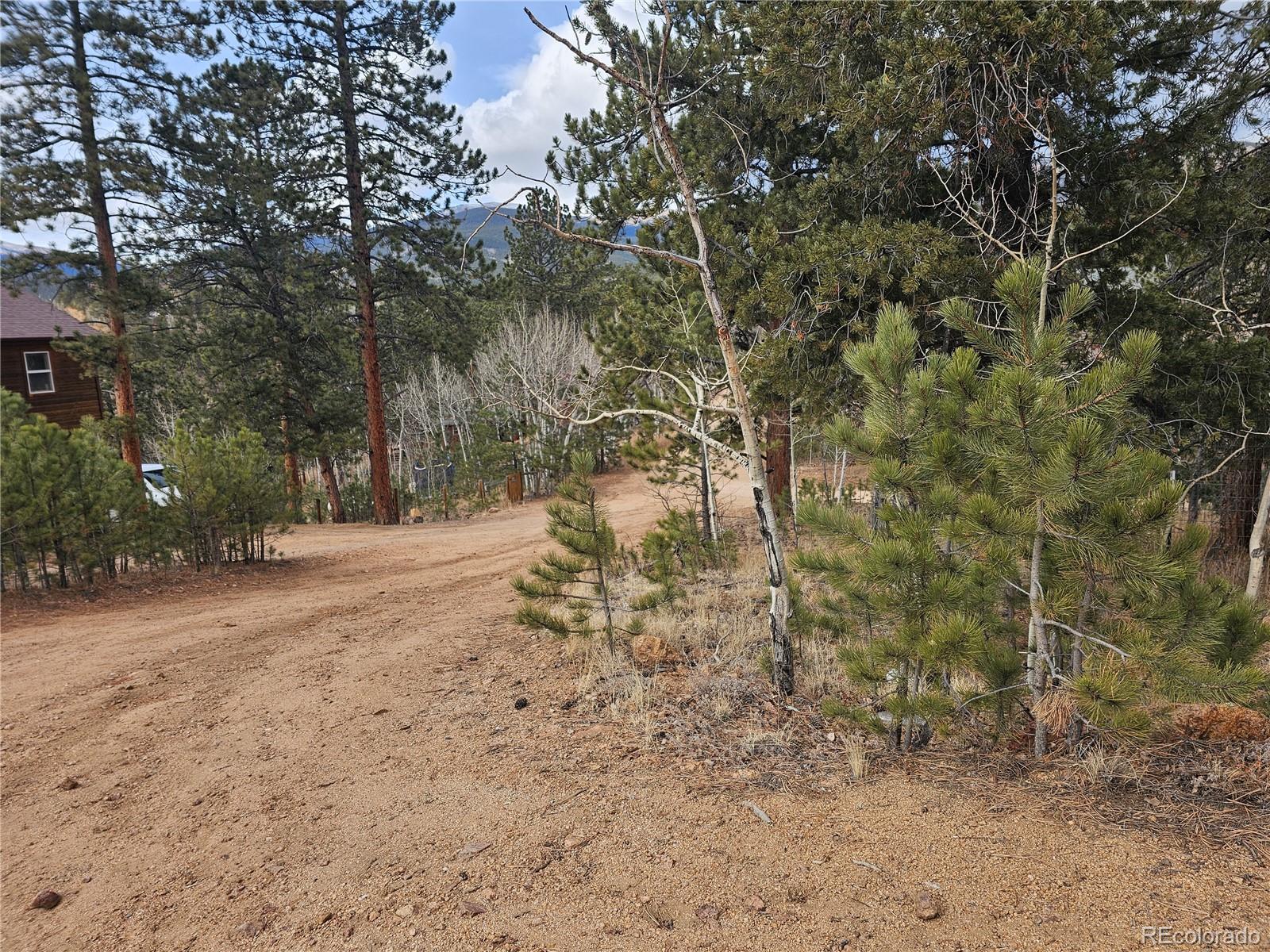 426 Houston Street Bailey, CO 80421 - Photo 38 of 47