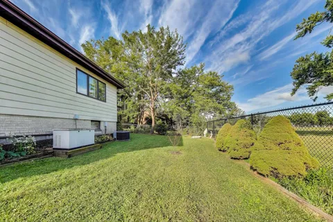 a view of a backyard with plants and large tree