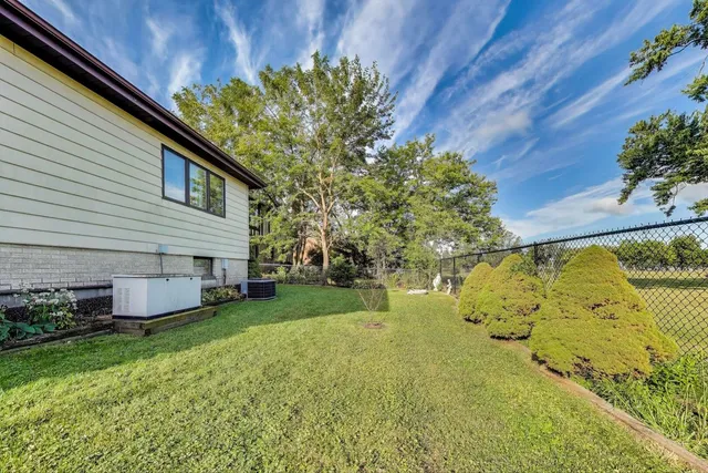 a view of a backyard with plants and large tree