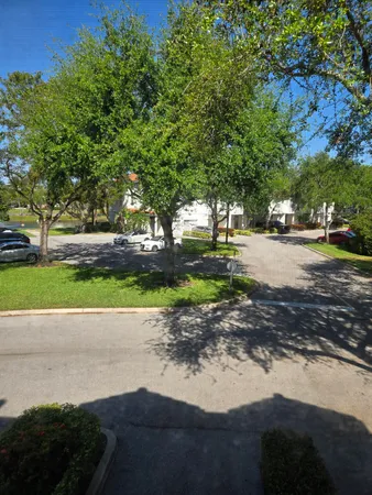 a view of a street with a yard and trees