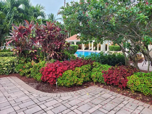 a view of a garden with flowers and trees