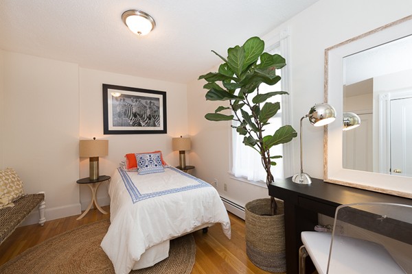 26 Vinal Avenue, Unit 1 Somerville, MA 02143 - Photo 16 of 17 a living room with furniture a potted plant and a window