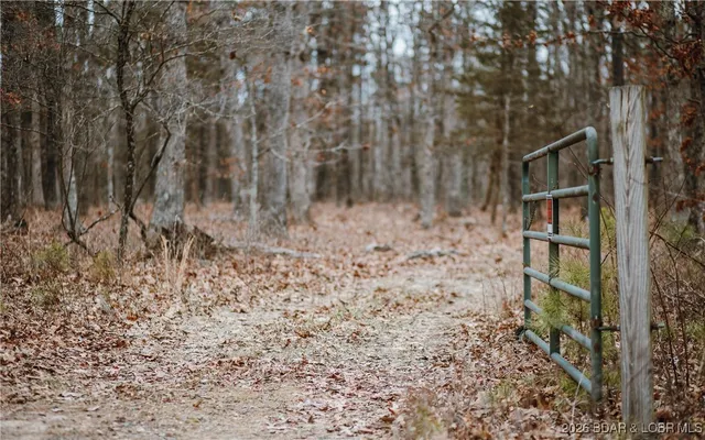 $183,170 | 56.36-tbd Slaughter Road, Licking, MO 65542