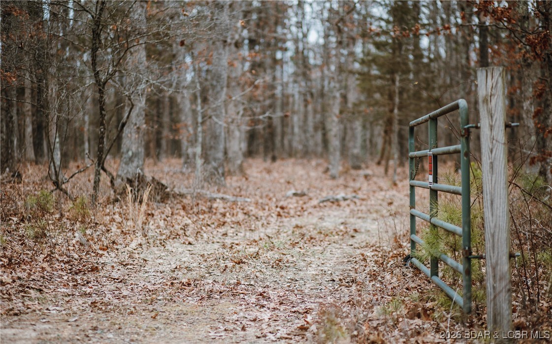 56.36-tbd Slaughter Road Licking, MO 65542 - Photo 13 of 43