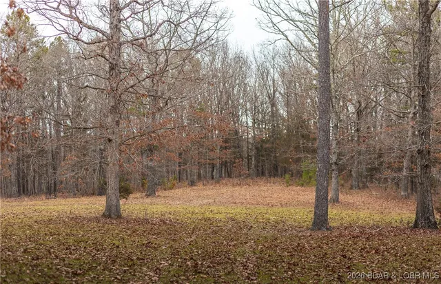 $183,170 | 56.36-tbd Slaughter Road, Licking, MO 65542