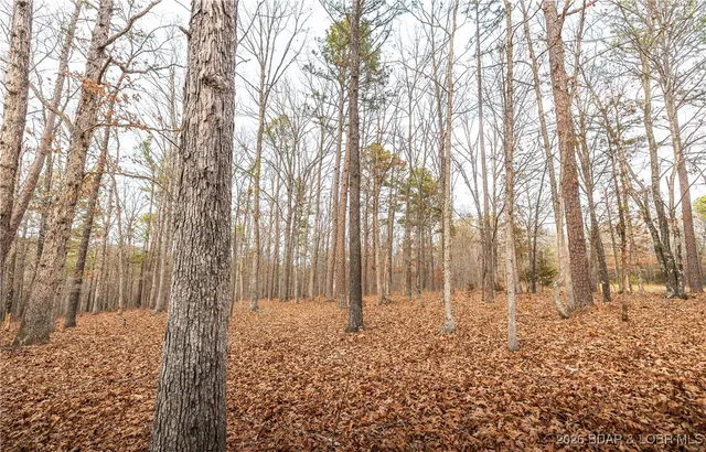 $183,170 | 56.36-tbd Slaughter Road, Licking, MO 65542