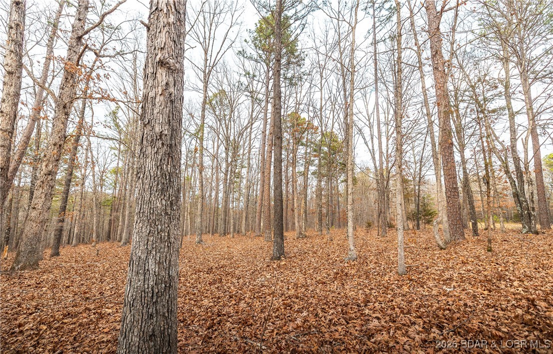 56.36-tbd Slaughter Road Licking, MO 65542 - Photo 18 of 43