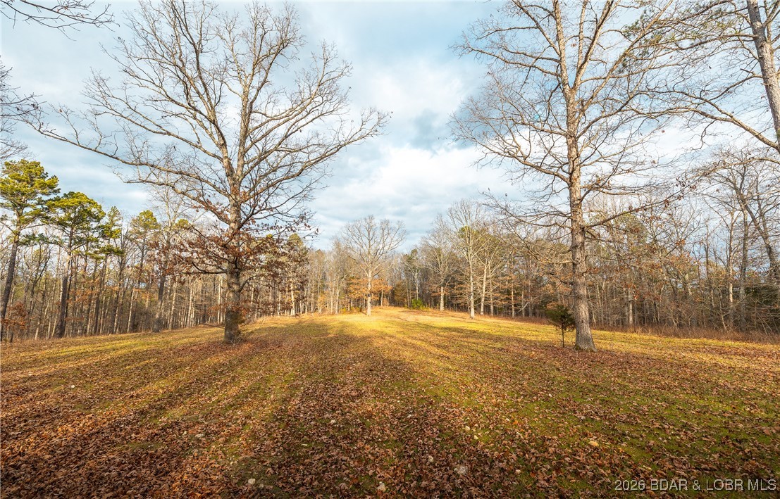 56.36-tbd Slaughter Road Licking, MO 65542 - Photo 19 of 43