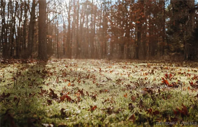 $183,170 | 56.36-tbd Slaughter Road, Licking, MO 65542