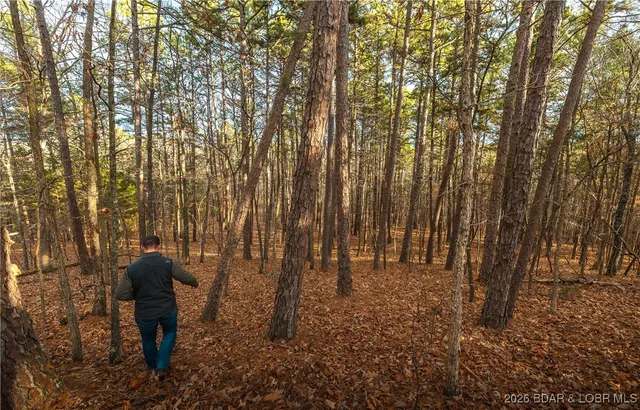 $183,170 | 56.36-tbd Slaughter Road, Licking, MO 65542