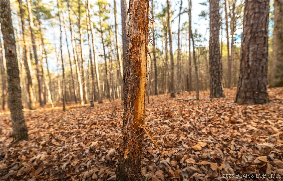 56.36-tbd Slaughter Road Licking, MO 65542 - Photo 22 of 43