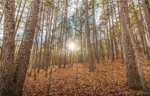 $183,170 | 56.36-tbd Slaughter Road, Licking, MO 65542