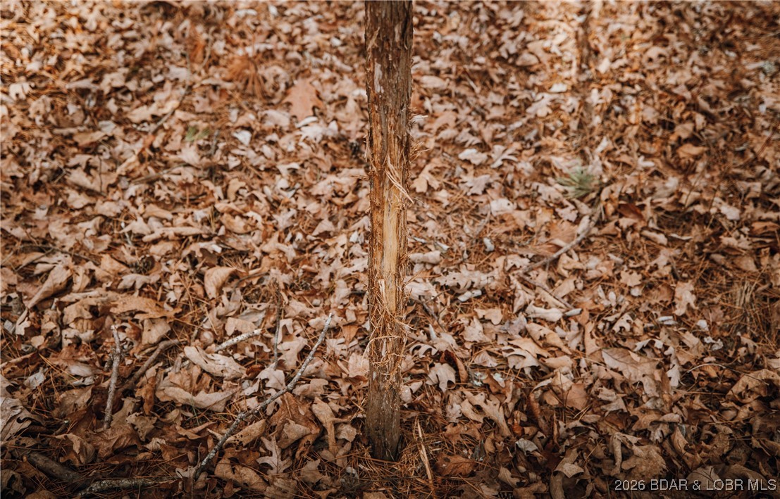 56.36-tbd Slaughter Road Licking, MO 65542 - Photo 25 of 43