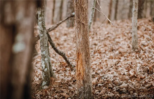 $183,170 | 56.36-tbd Slaughter Road, Licking, MO 65542