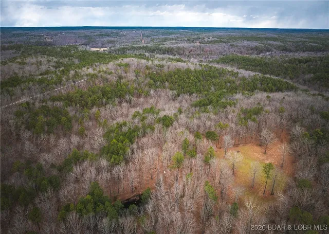 $183,170 | 56.36-tbd Slaughter Road, Licking, MO 65542