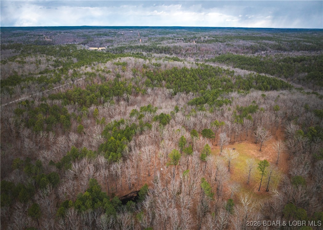 56.36-tbd Slaughter Road Licking, MO 65542 - Photo 3 of 43