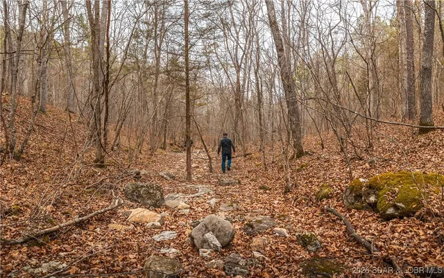 $183,170 | 56.36-tbd Slaughter Road, Licking, MO 65542