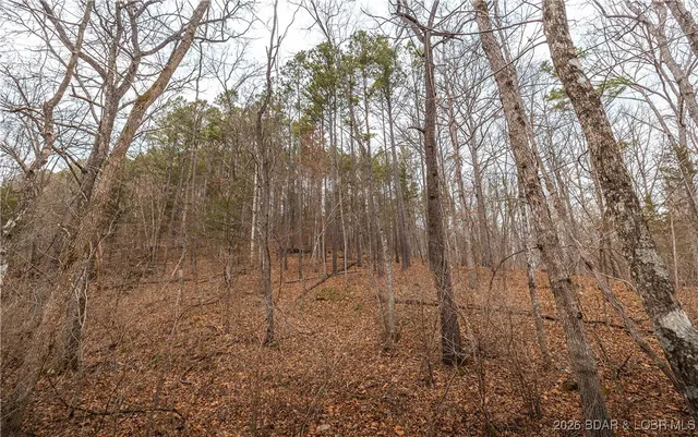 $183,170 | 56.36-tbd Slaughter Road, Licking, MO 65542